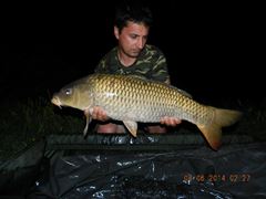 carpfishing 08/05/2014